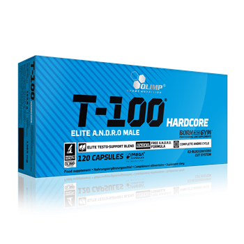 تی-100 هاردکور